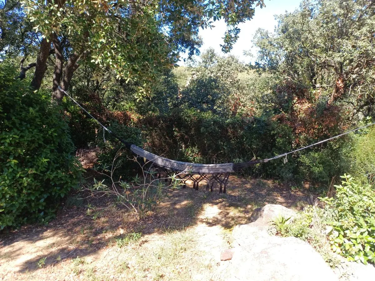 Hamac près de la piscine